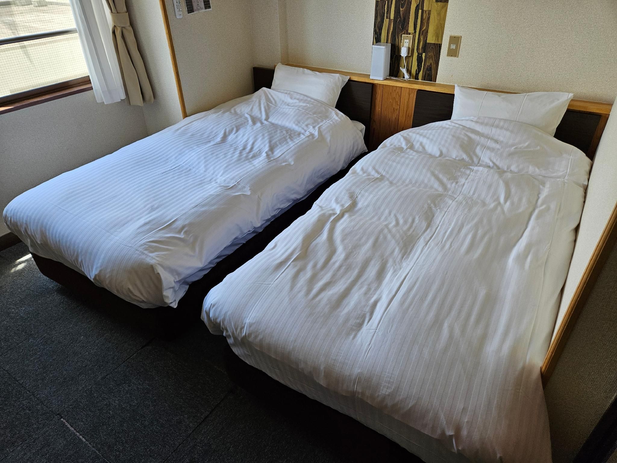 Mountain View Twin Room