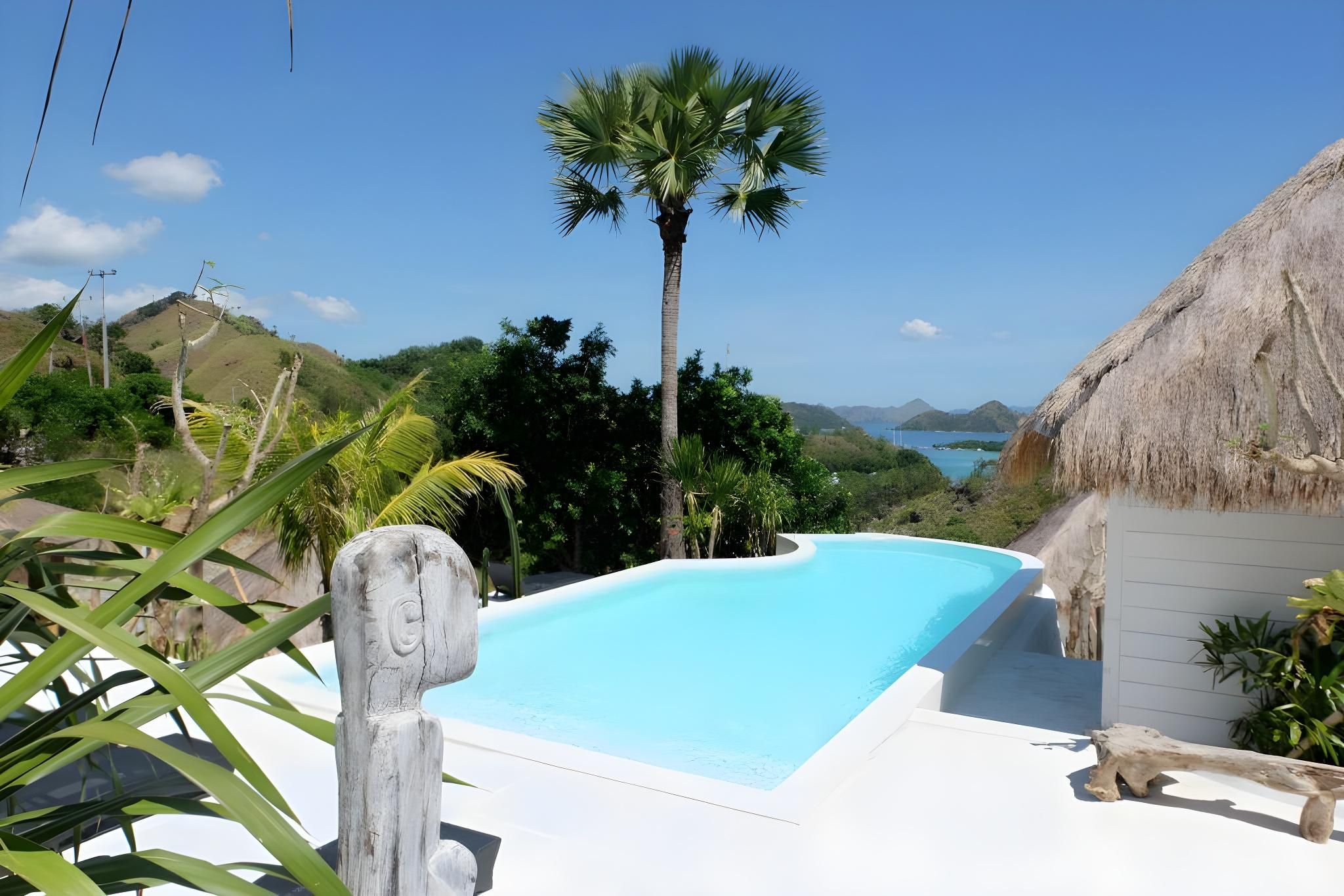 swimming pool [outdoor]