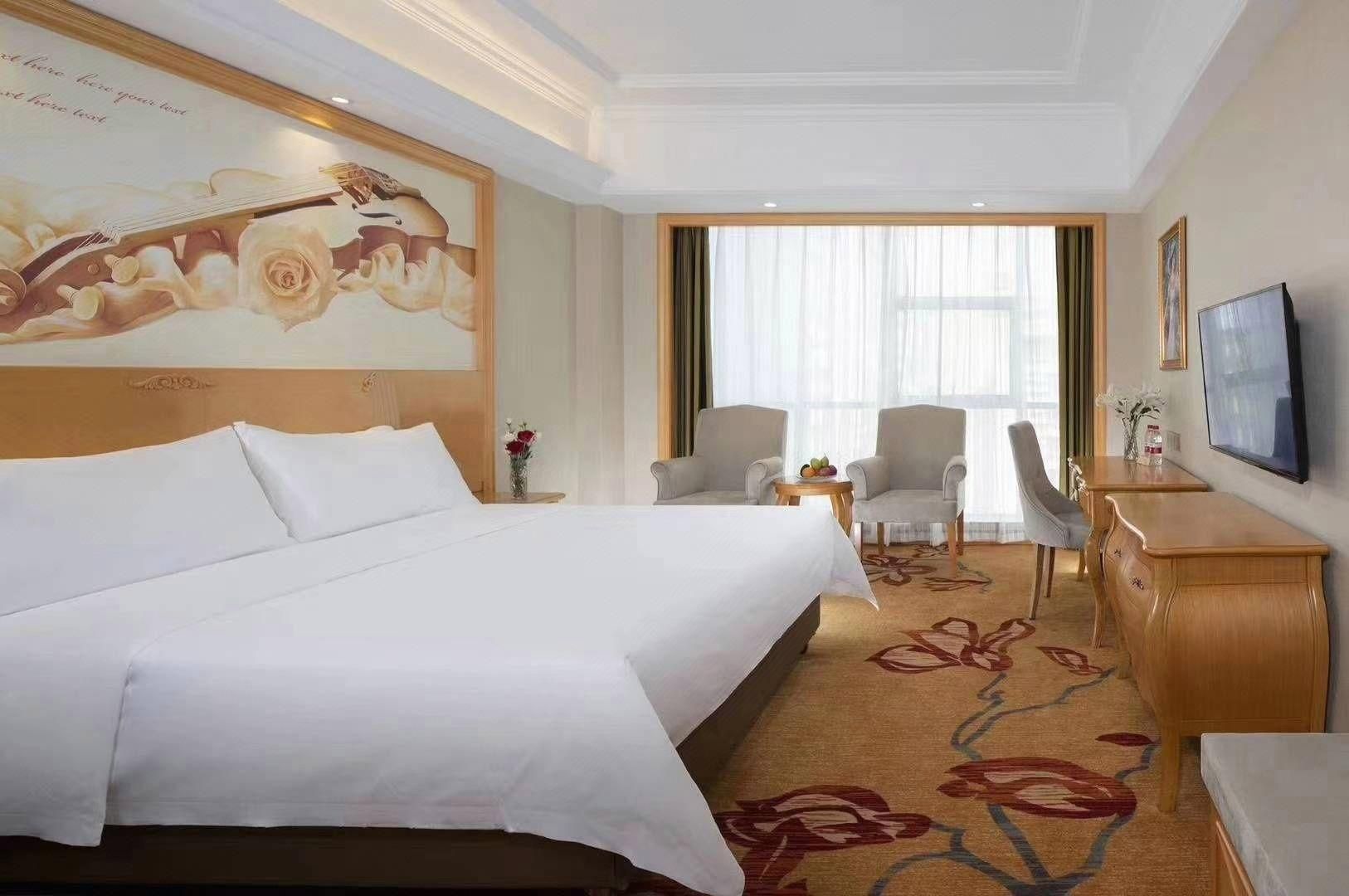 Vienna - Executive Room for 2 Guests
