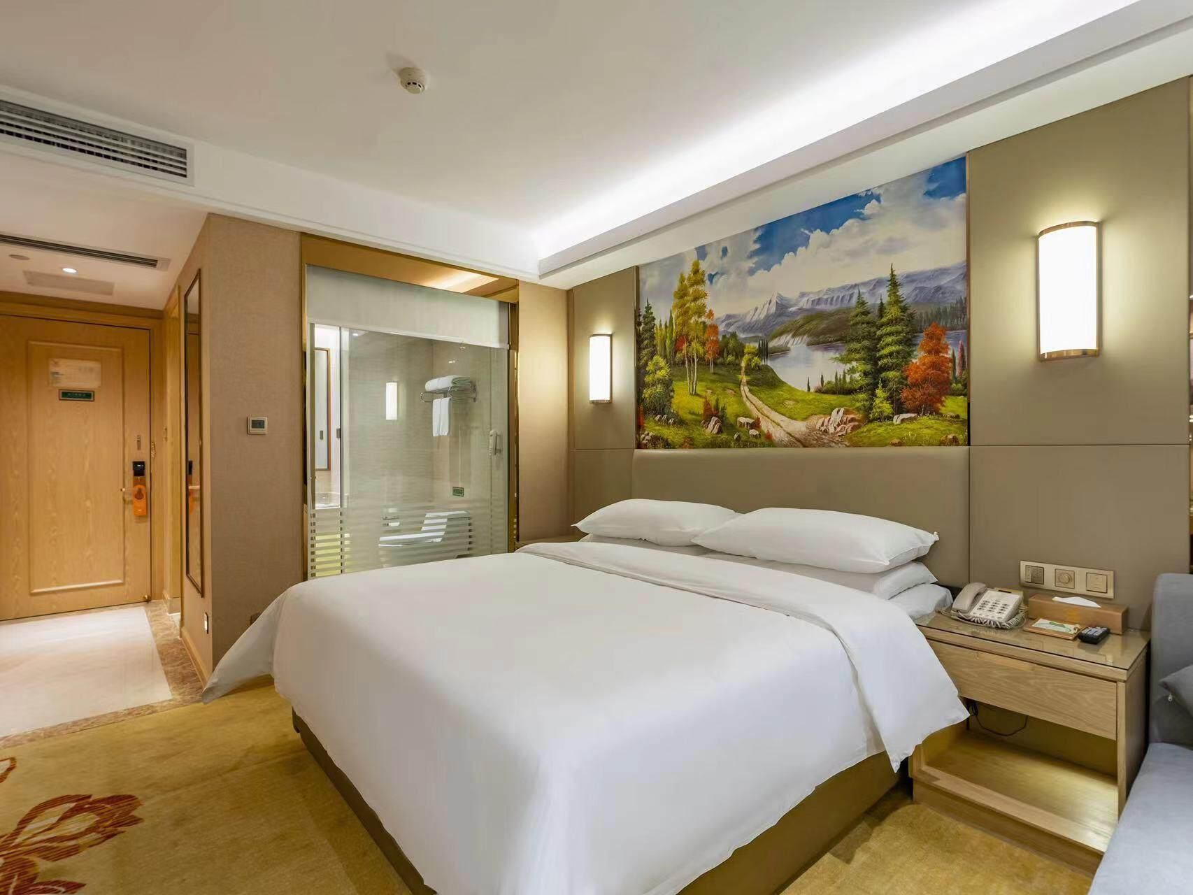 Vienna Hotel Hunan Hengyang Baishazhou Vienna - ZHENLI 1 Bed Room 2