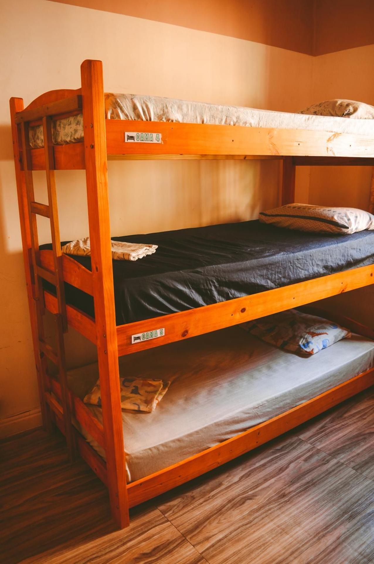 Mixed Dormitory Room