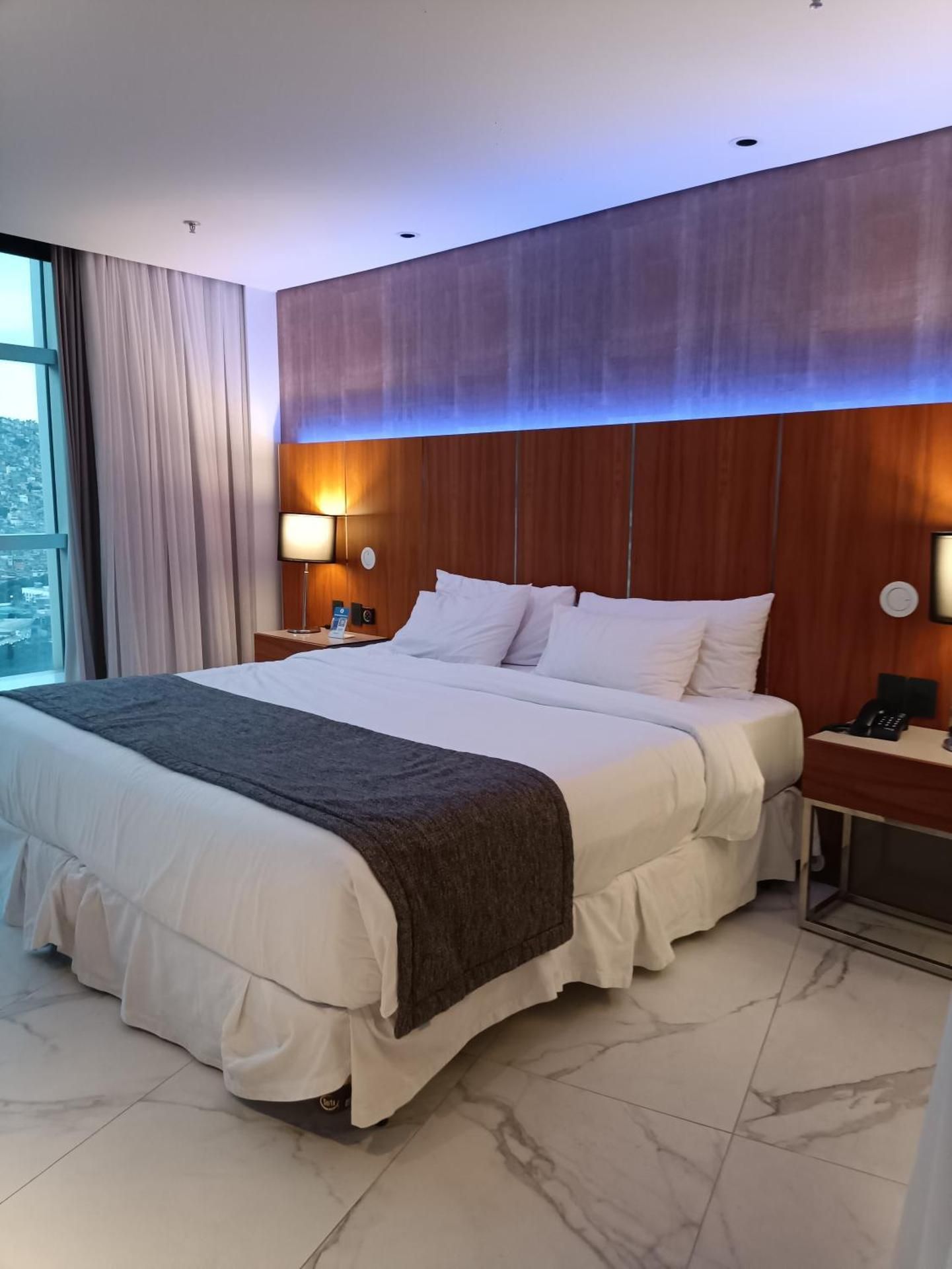 One-Bedroom Premier Apartment