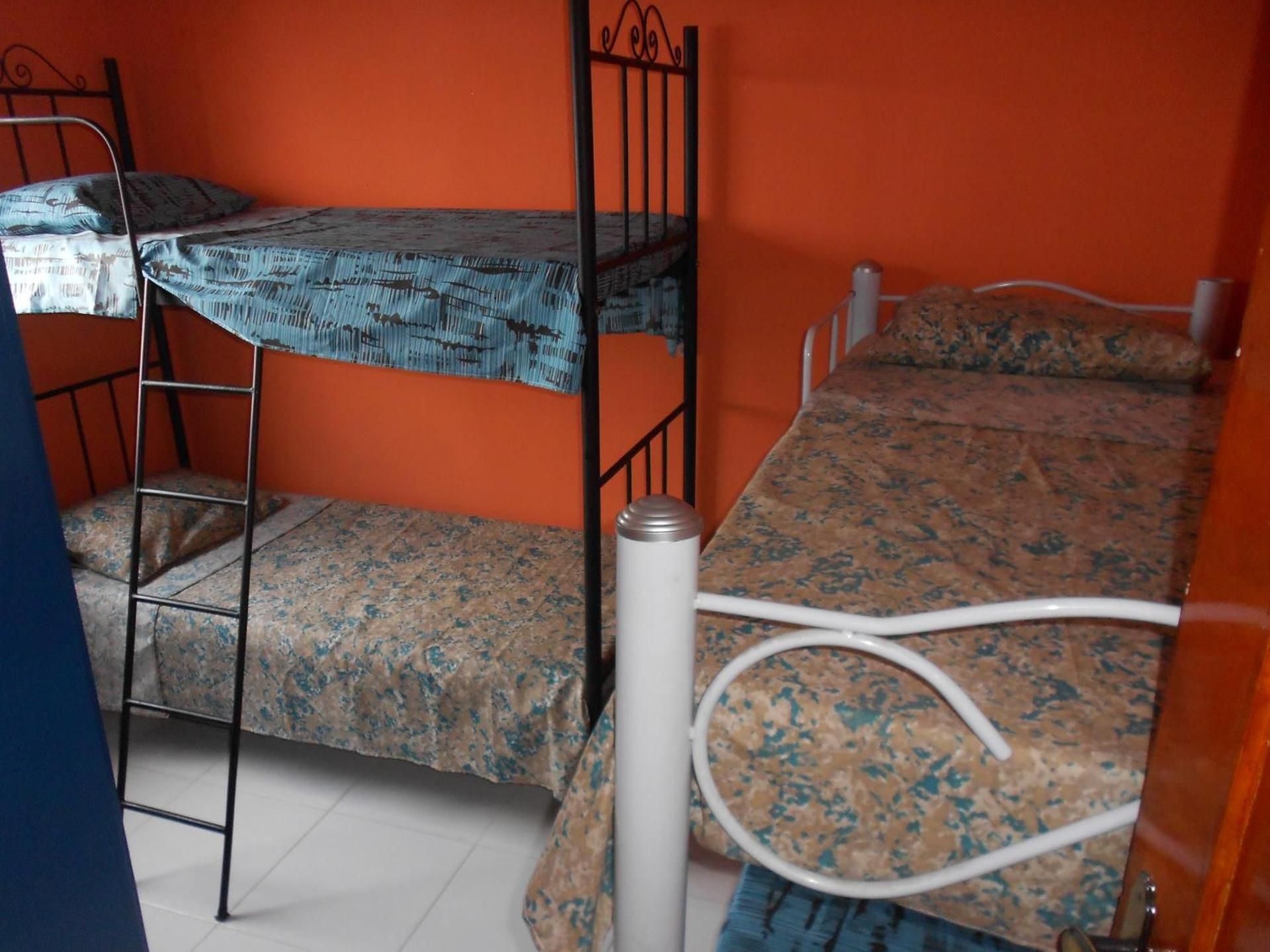 Bed in 4-Bed Mixed Dormitory Room Mountain View