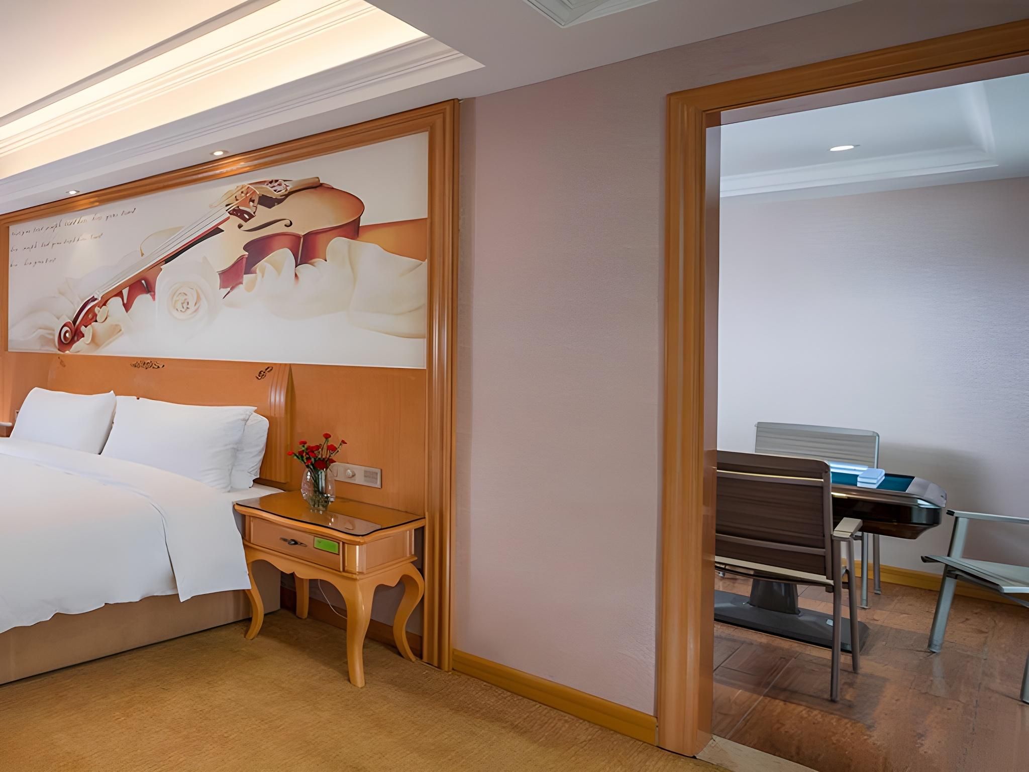 Vienna Hotel Hunan Xinning Langshan Vienna - Functional Chess Suite Room