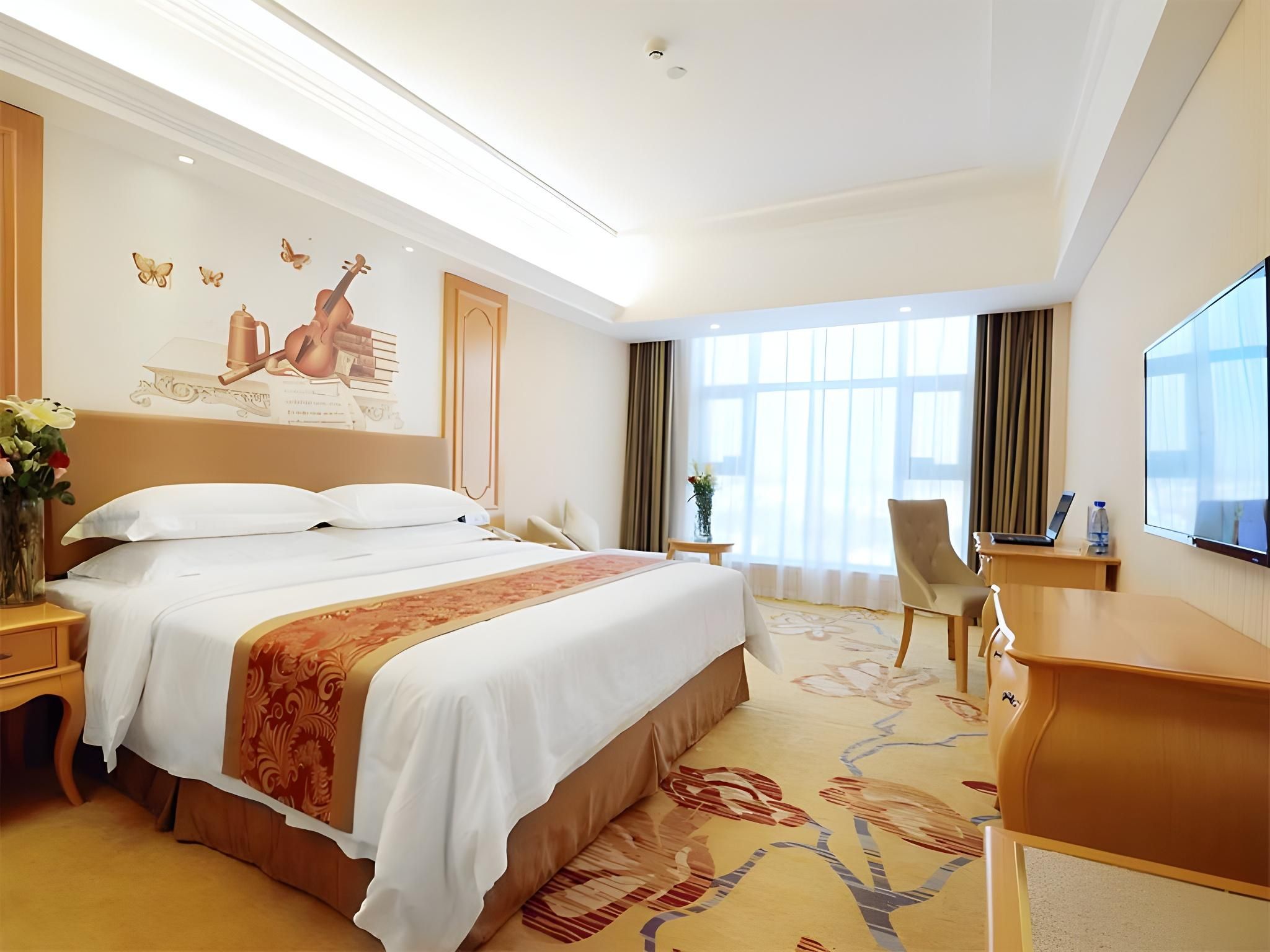 Vienna - Deluxe Room