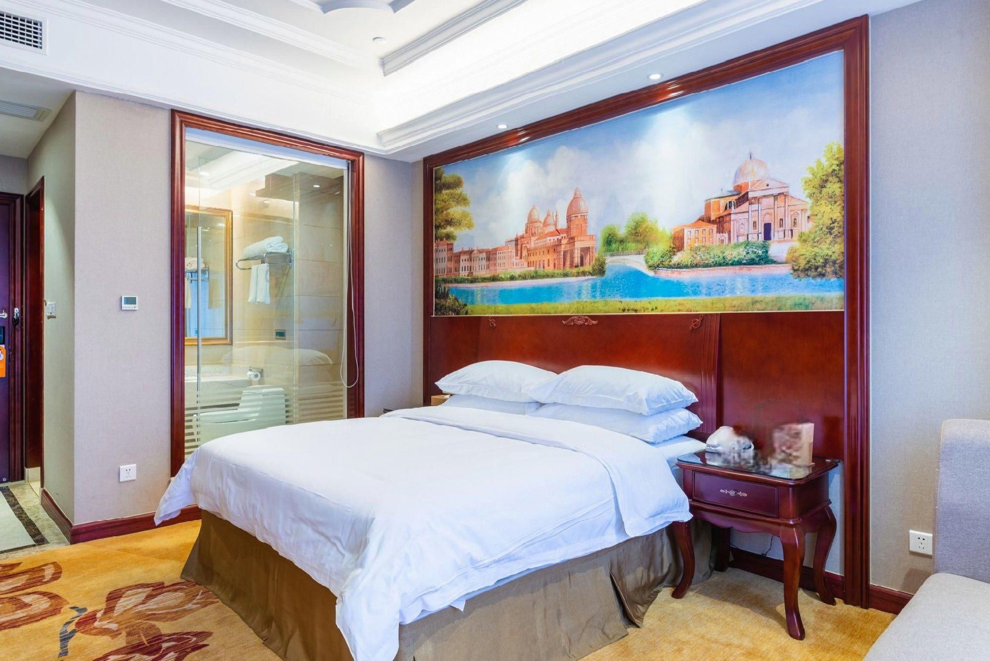 Vienna International Hotel Zhuzhou Liyu Vienna - Business 1 Bed Room 2