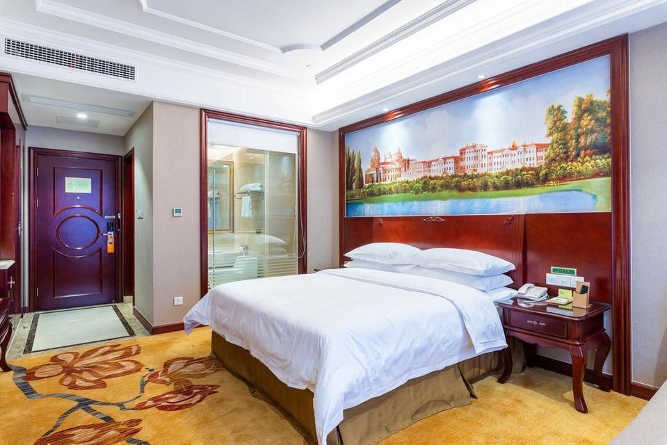 Vienna International Hotel Zhuzhou Liyu Vienna - Deluxe Room 2