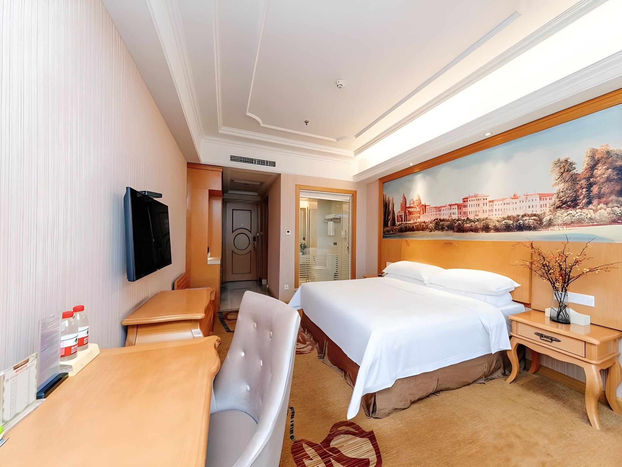 Vienna International Hotel Zhuzhou Clothing Market Central Plaza Railway Station Vienna - YUMENG 1 Bed Room 2