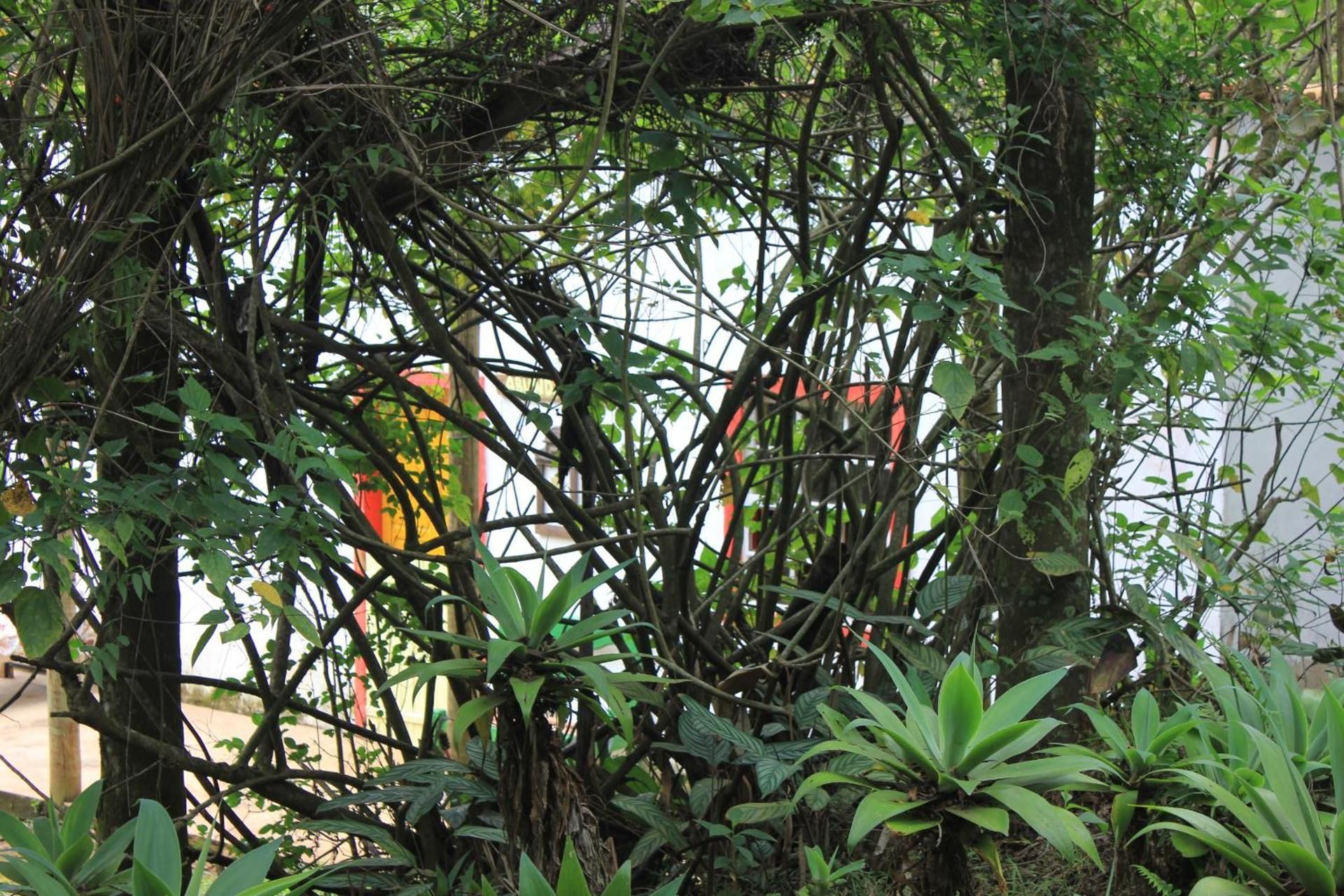 Chale na floresta com frigobar