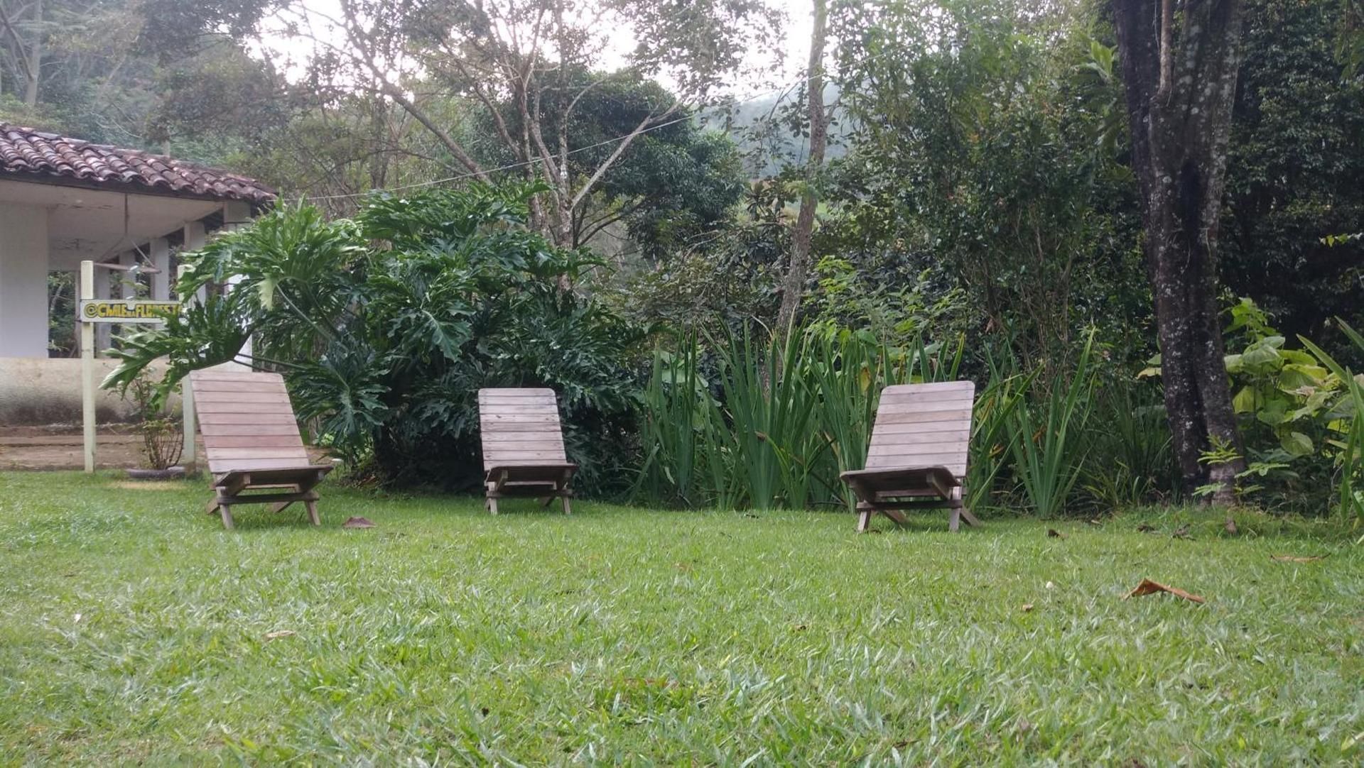 Chale na floresta com frigobar
