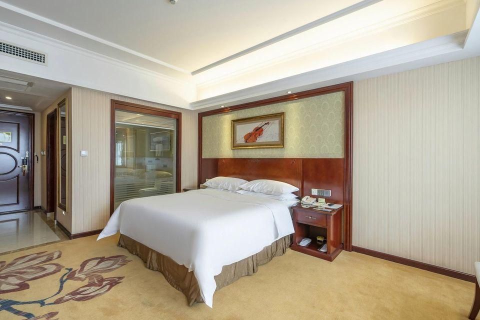 Vienna - Deluxe Room
