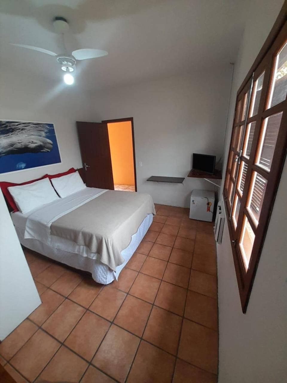 Budget Single Room
