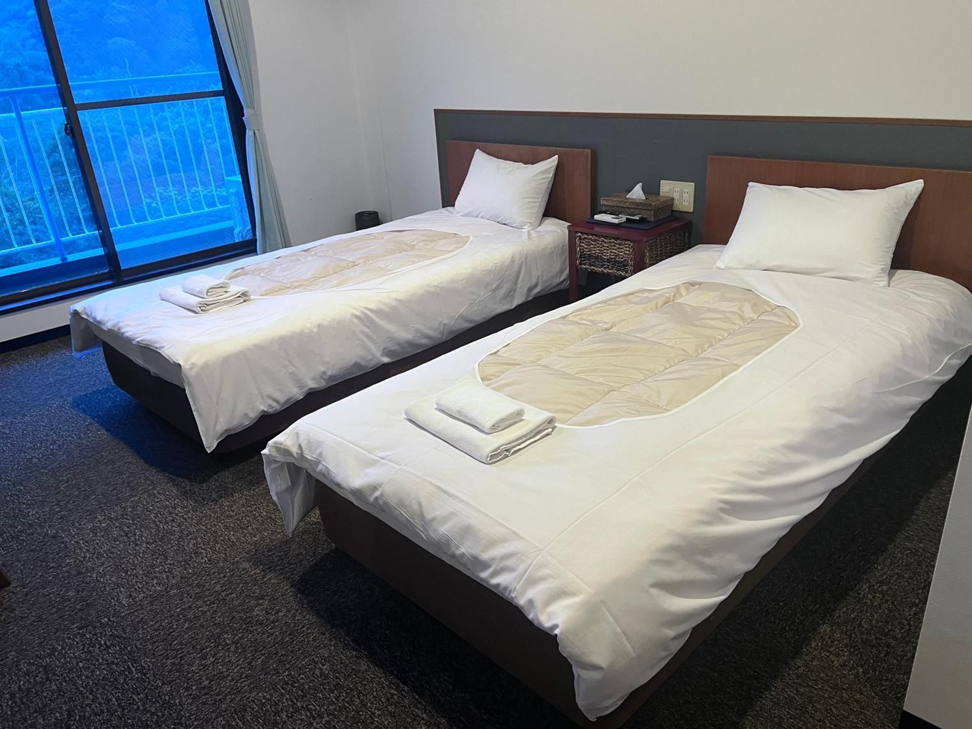 Twin Room with Mountain View