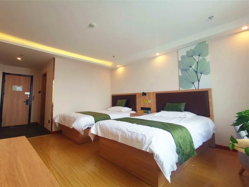 Green Tree Inn Heze Dingtao District Car Town Guest Twin Room 2