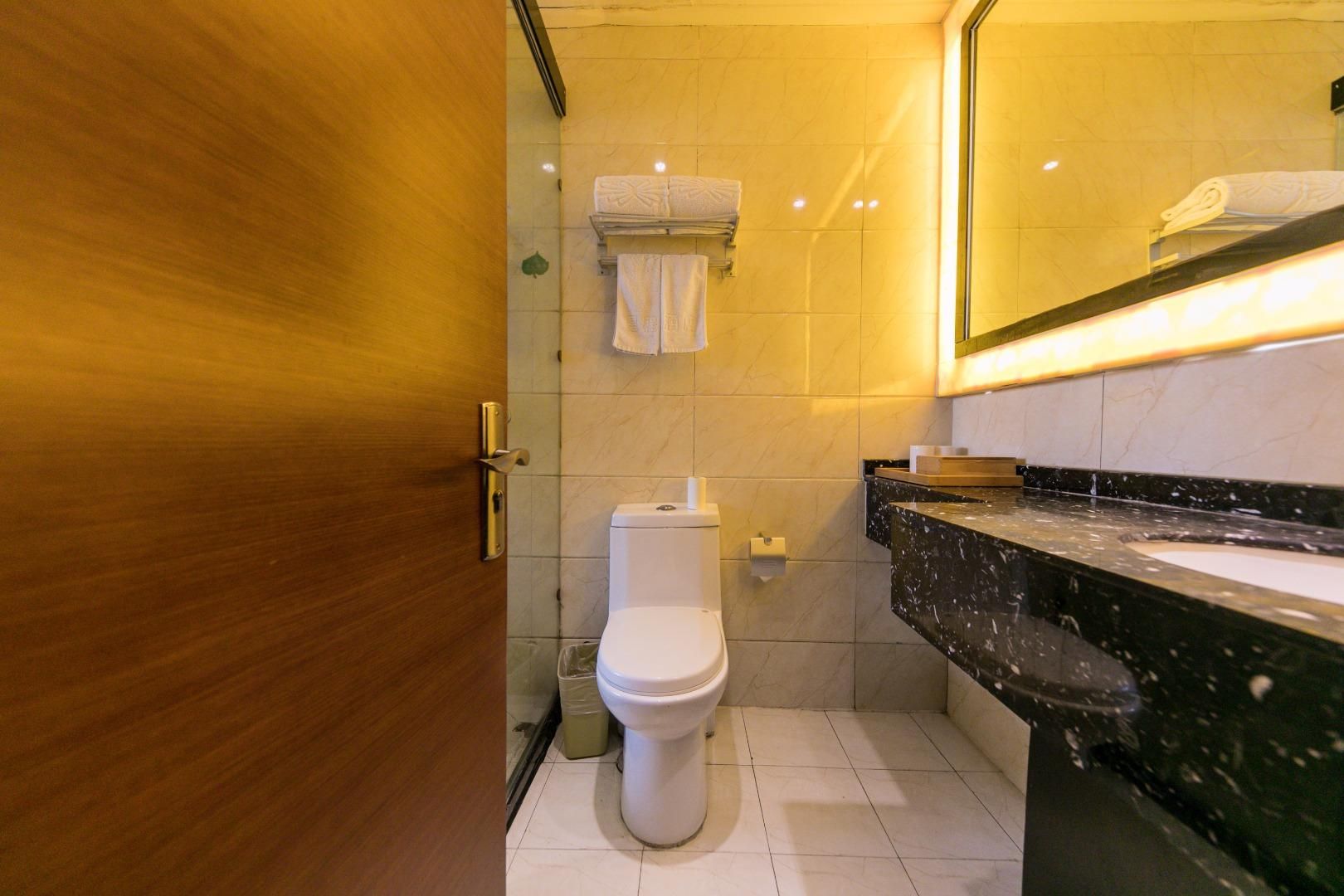 Starway Hotel Liaocheng Zhenxing Xi Road Huazhu - Destress Twin Room 2