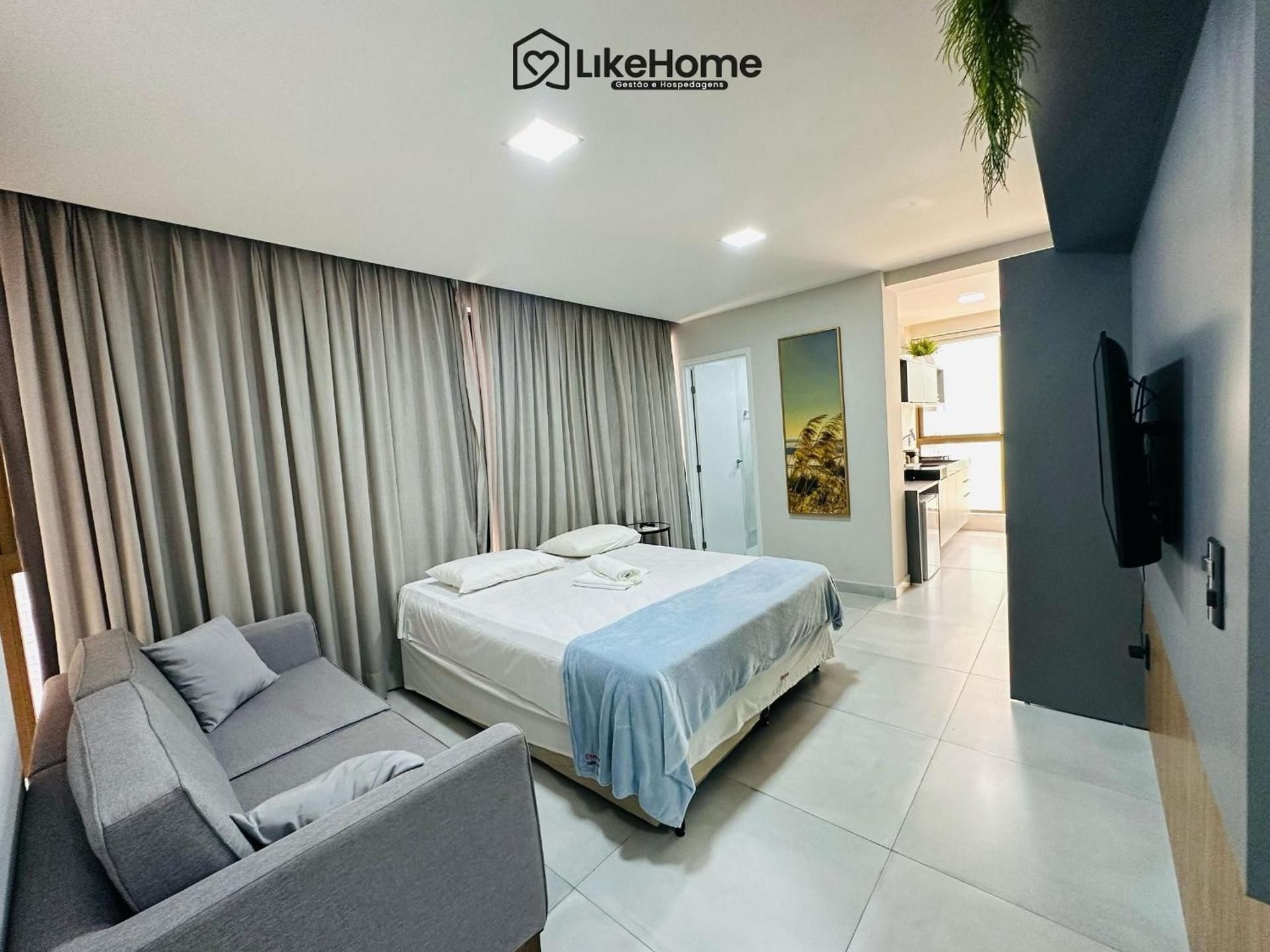 Deluxe one-bedroom apartment