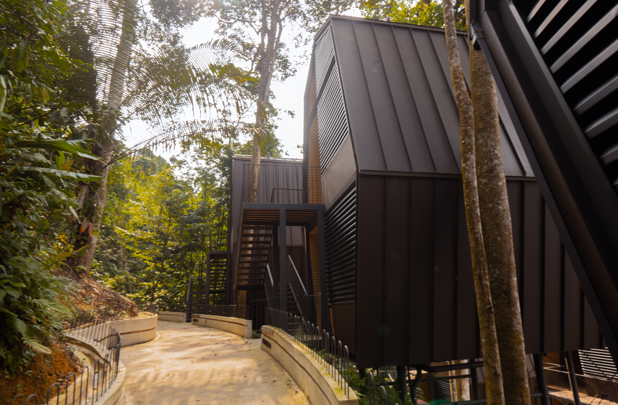 surrounding environment