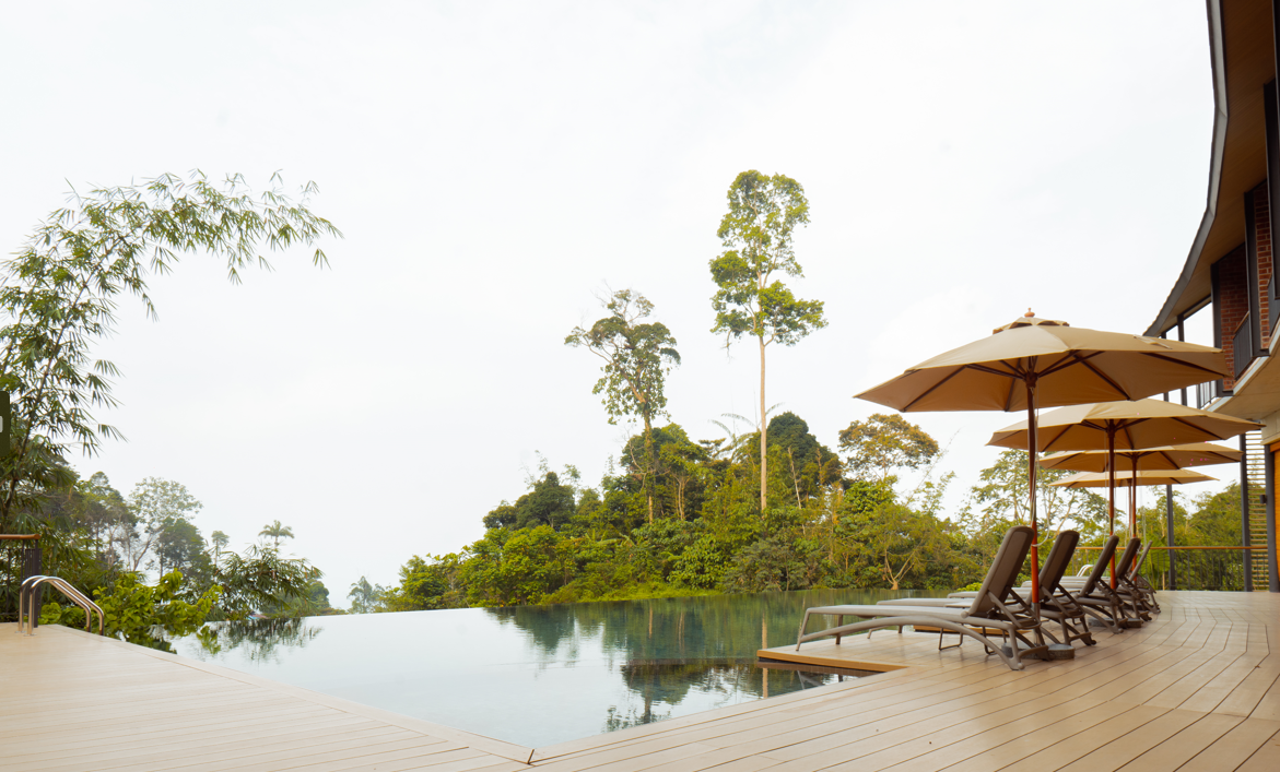 swimming pool [outdoor]