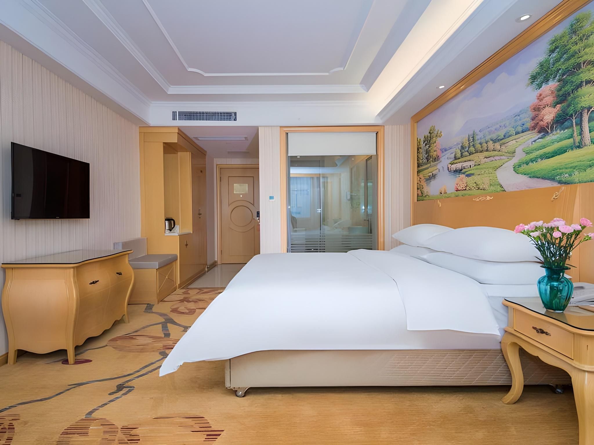 Vienna - Standard Single Room