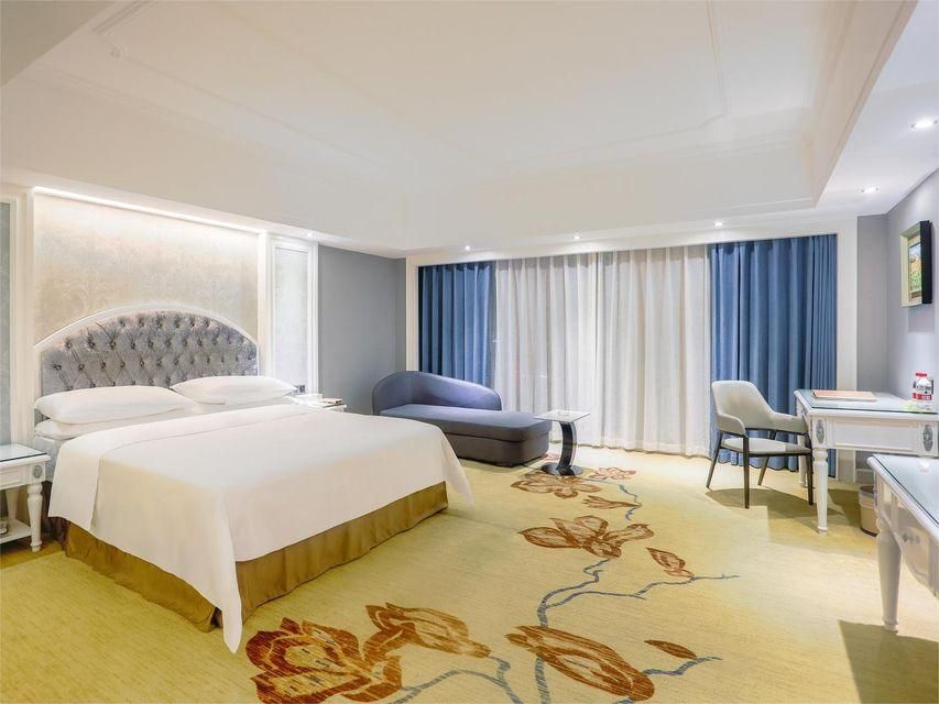 Vienna - Deluxe Room
