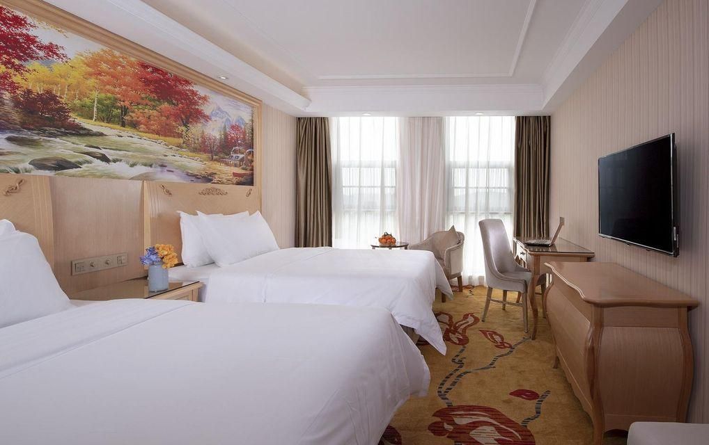 Vienna - Deluxe Room