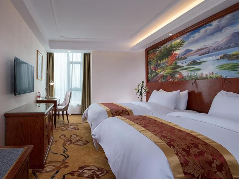 Vienna - Guest Standard Twin