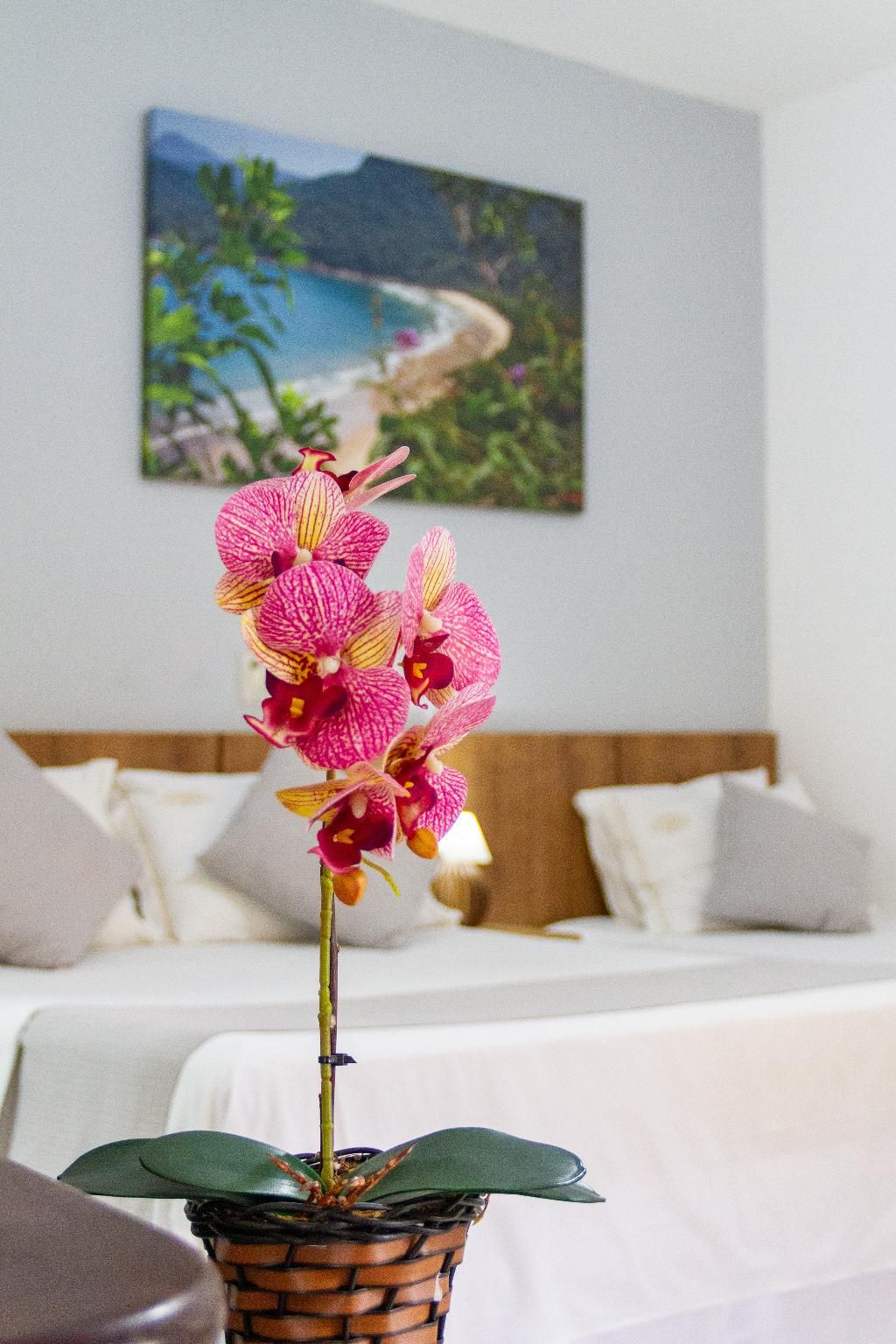 Pousada Cicerone Paraty Familia Suite 3