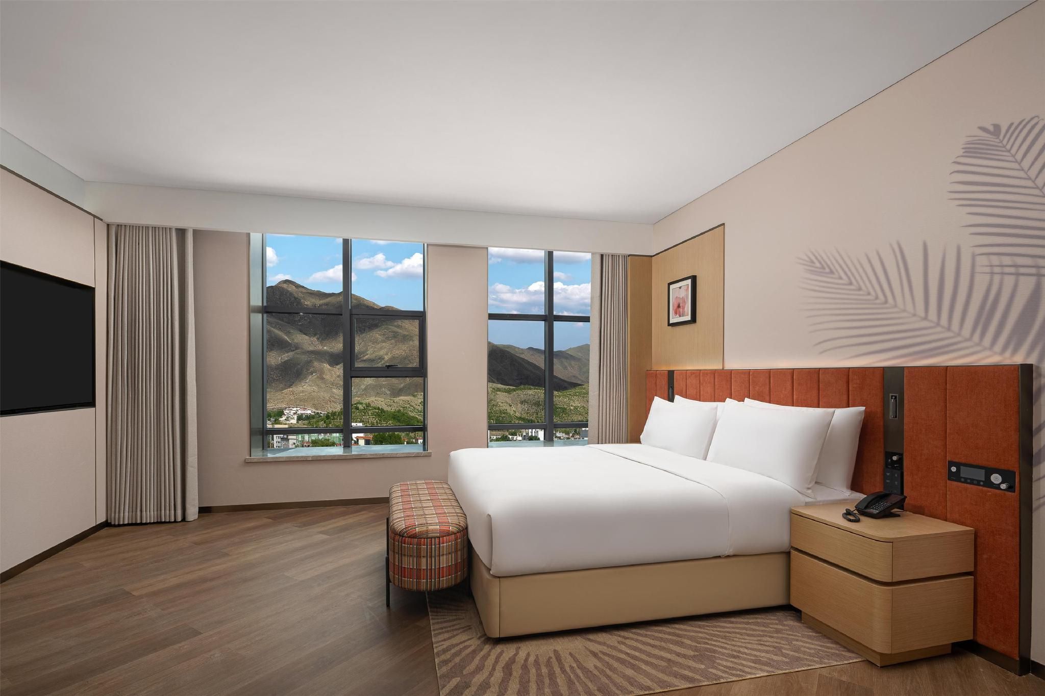 King Deluxe Suite