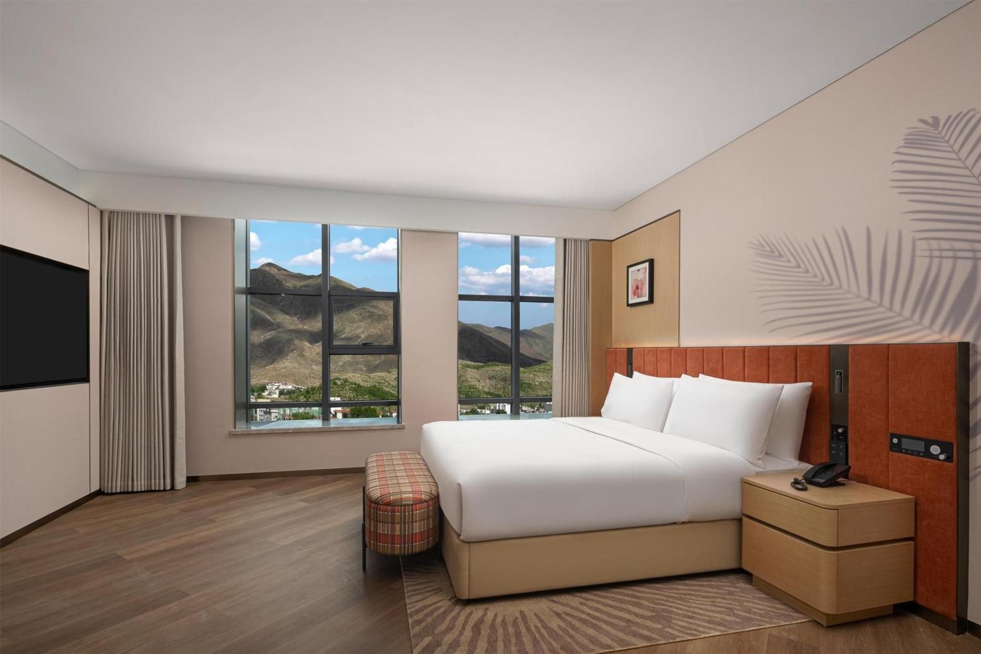 Deluxe King Suite