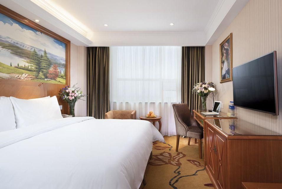 Vienna - Deluxe Room