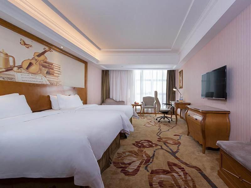 Vienna International Hotel Guangxi Dongxing Second Bridge Port High-speed Railway Station Superior Twin Room