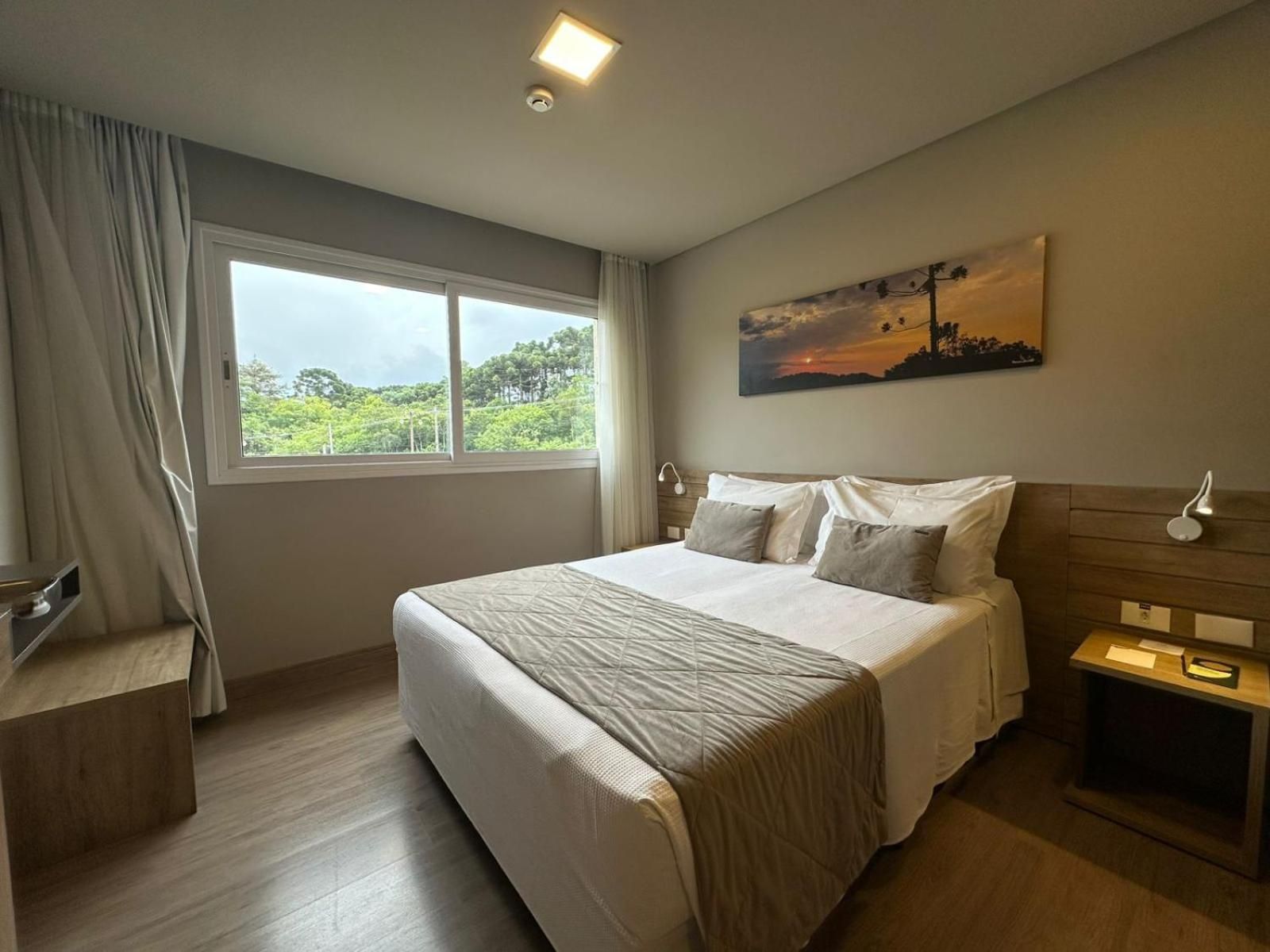 Deluxe One-Bedroom Apartment