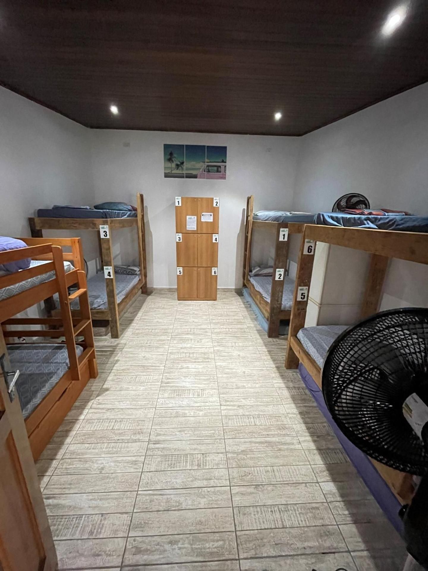 Bed in 6-Bed Mixed Dormitory Room