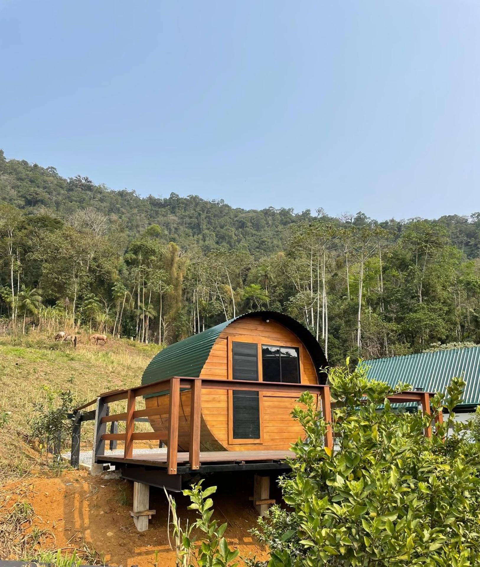 One-Bedroom Chalet