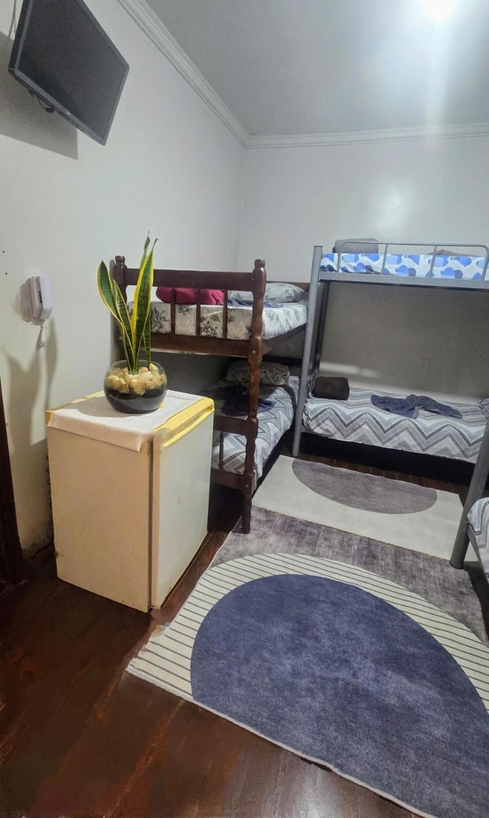 Bunk Bed in Male Dormitory Room