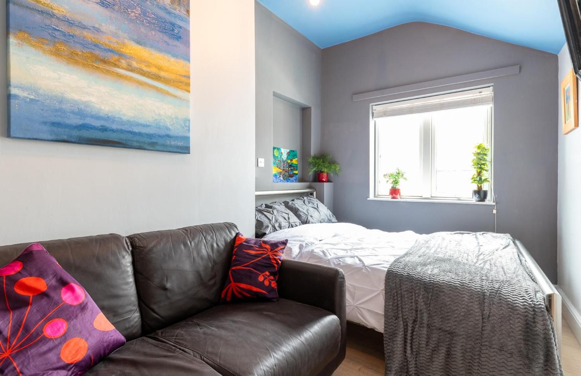 Deluxe One-Bedroom Apartment