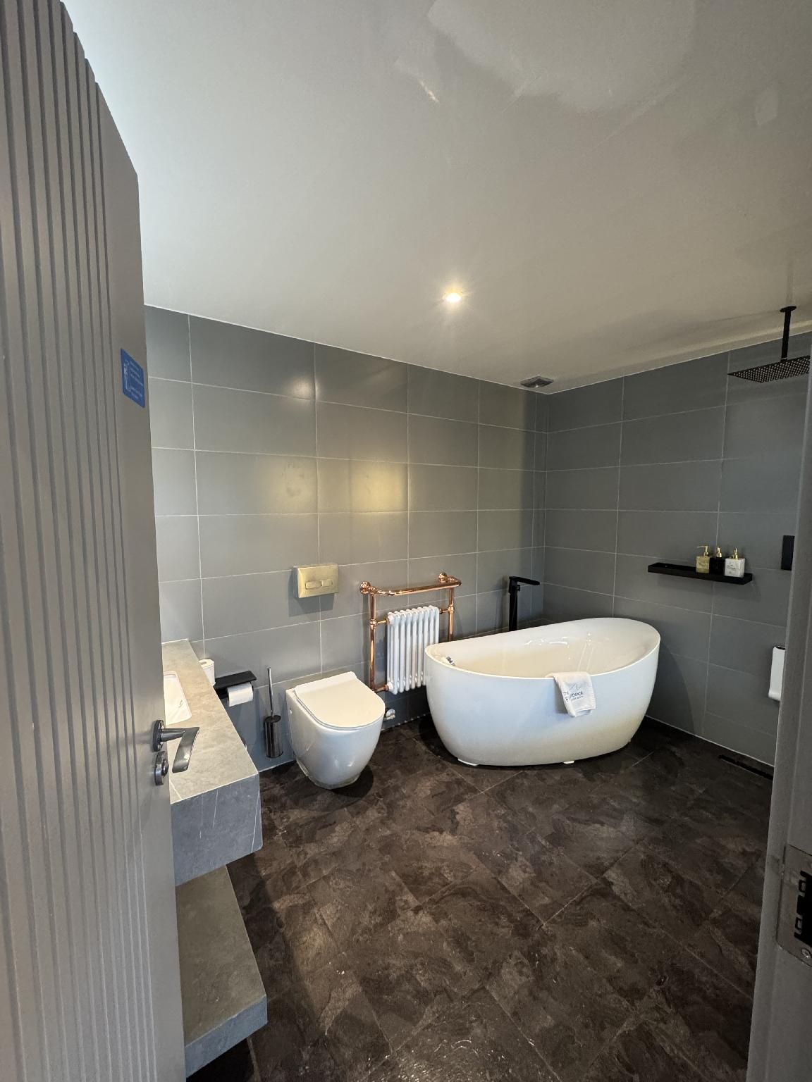 Deluxe Junior Suite with Balcony and Mountain View