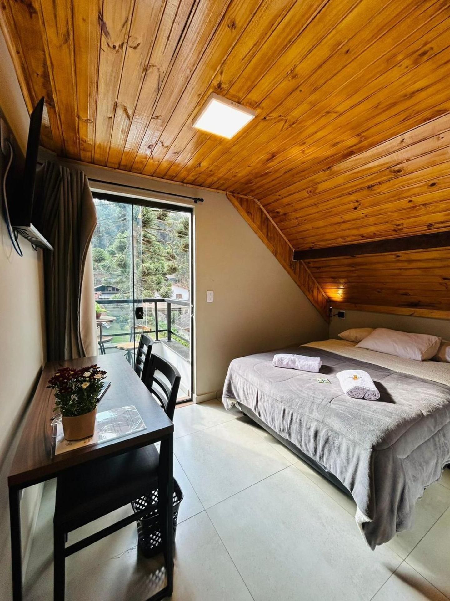 Junior Suite with Terrace