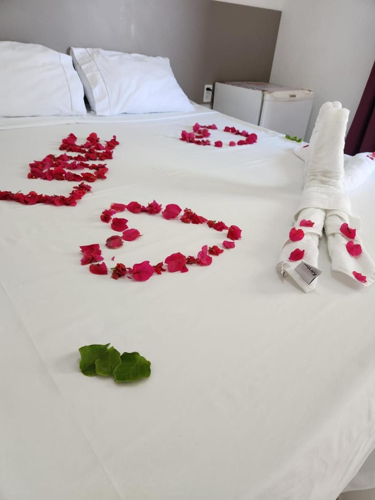 Standard Double Suite