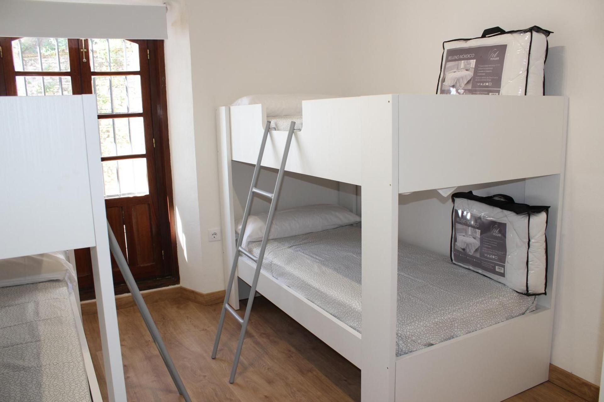 Bed in 4-Bed Dormitory Room