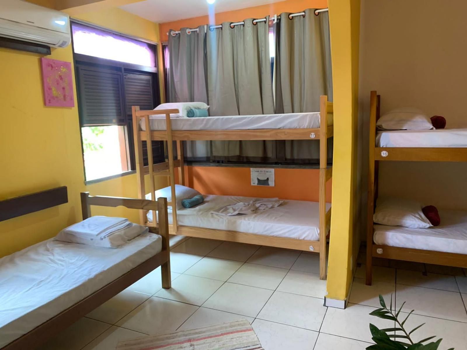Bunk Bed in Female Dormitory Room  