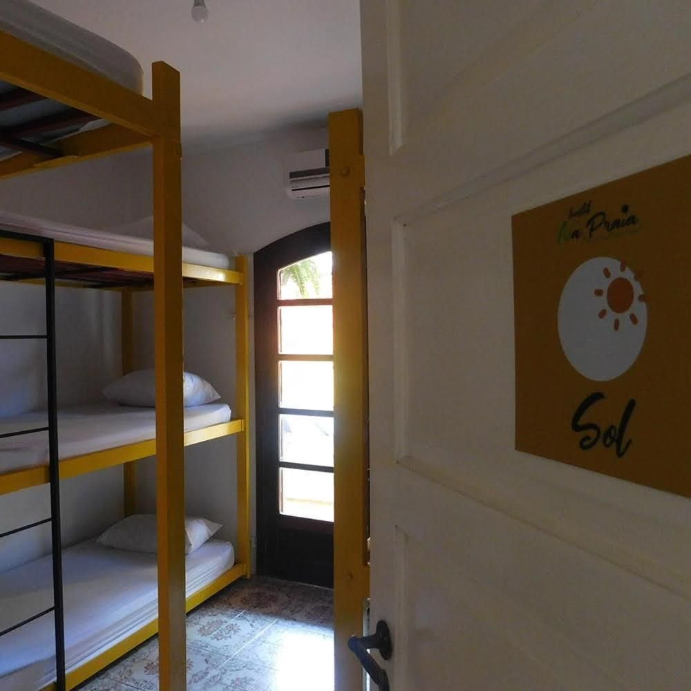Bunk Bed in Mixed Dormitory Room