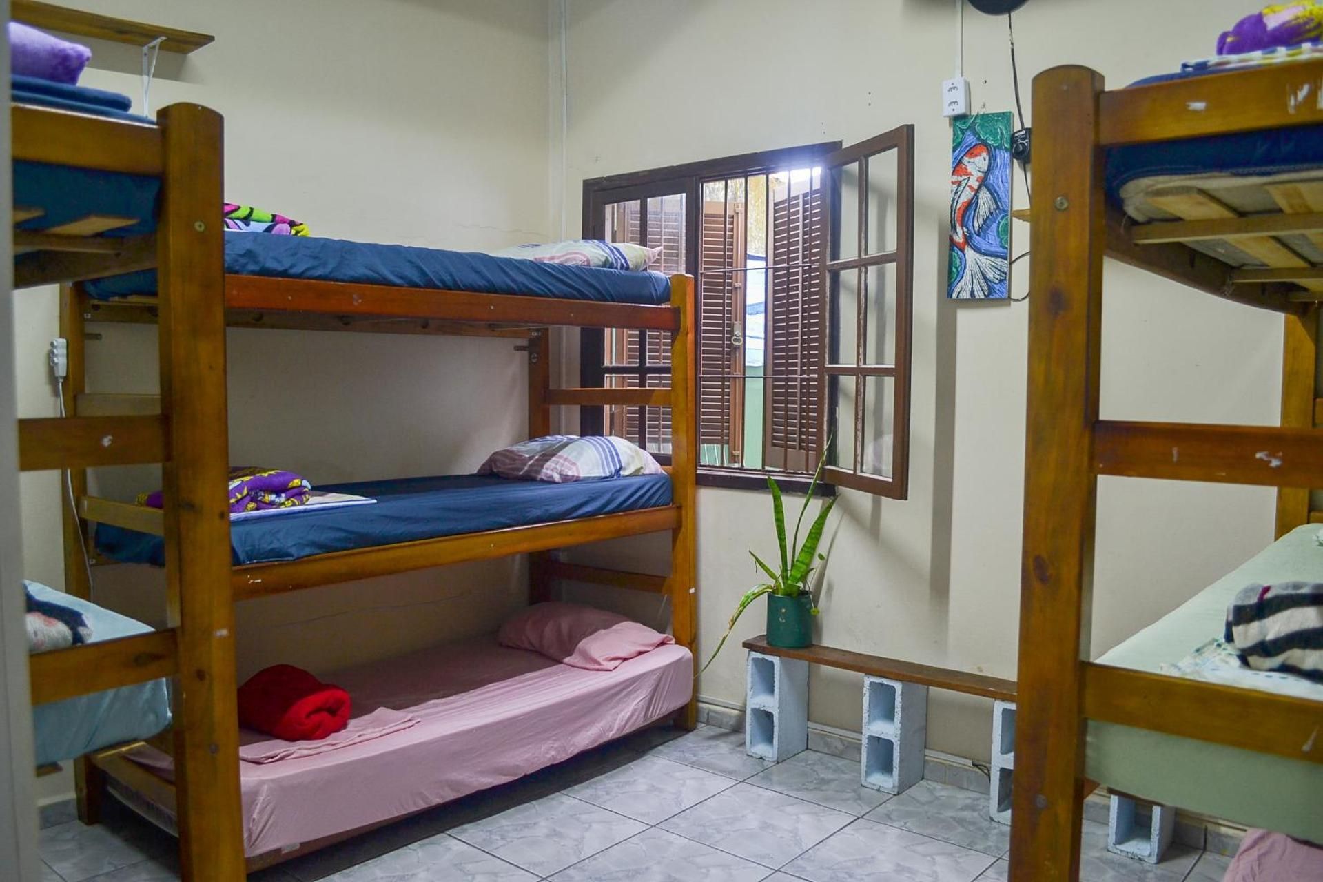 Single Bed in Mixed Dormitory Room