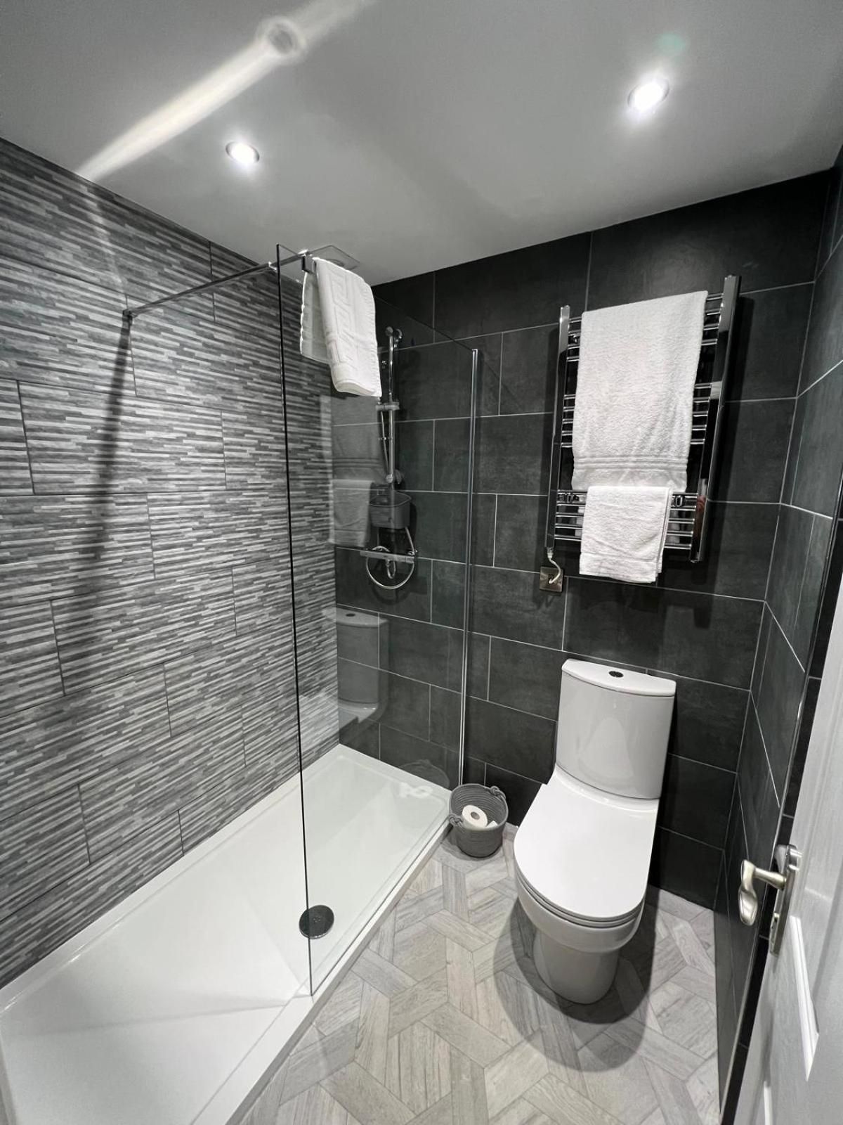 The Globe Apartments One-Bedroom Apartment 2