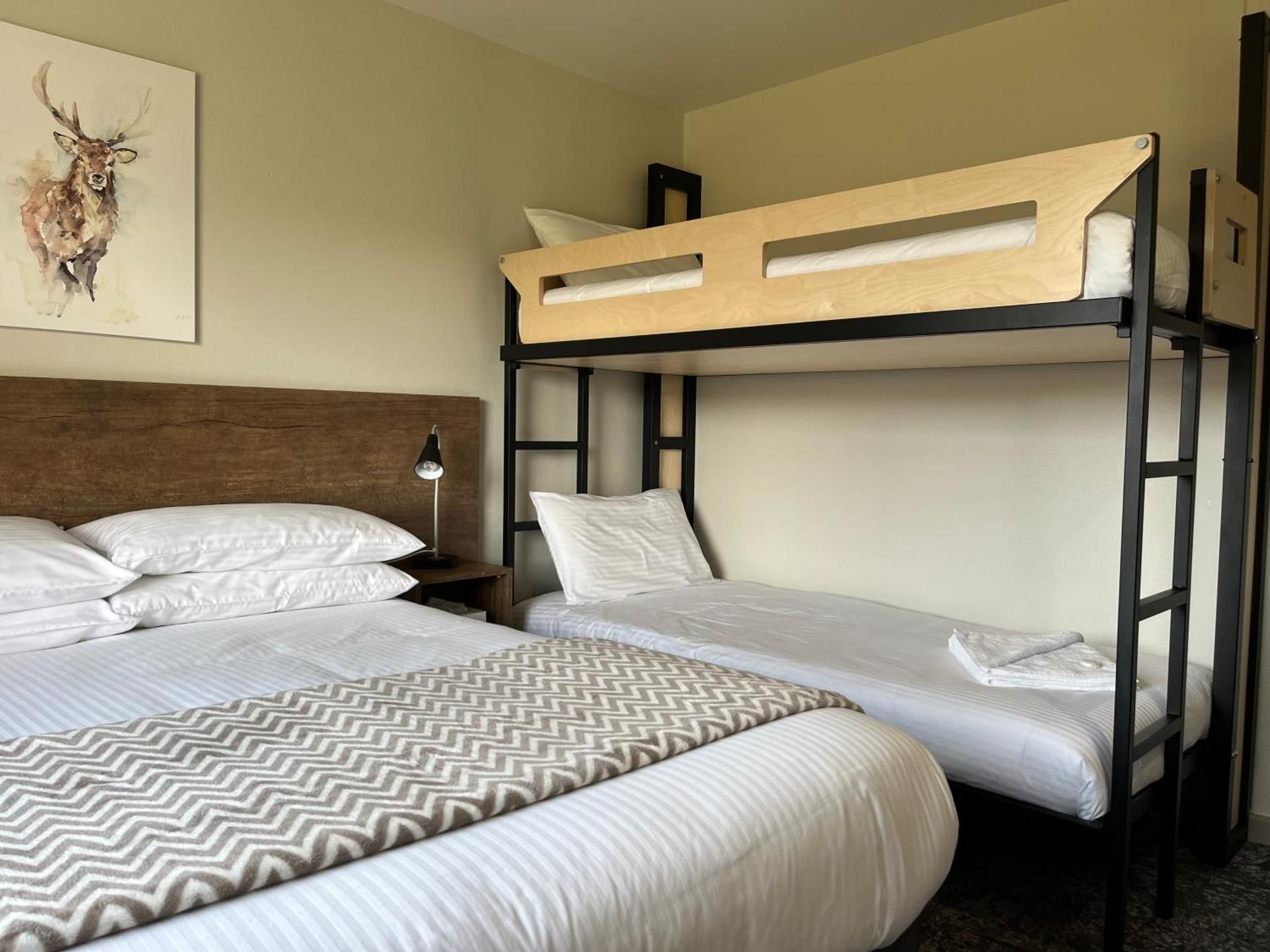 Quadruple Room B