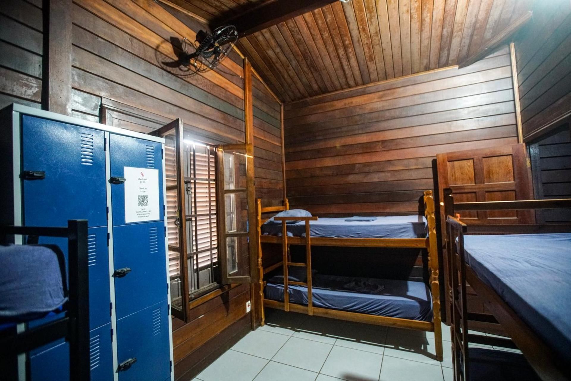 Bunk Bed in Mixed Dormitory Room