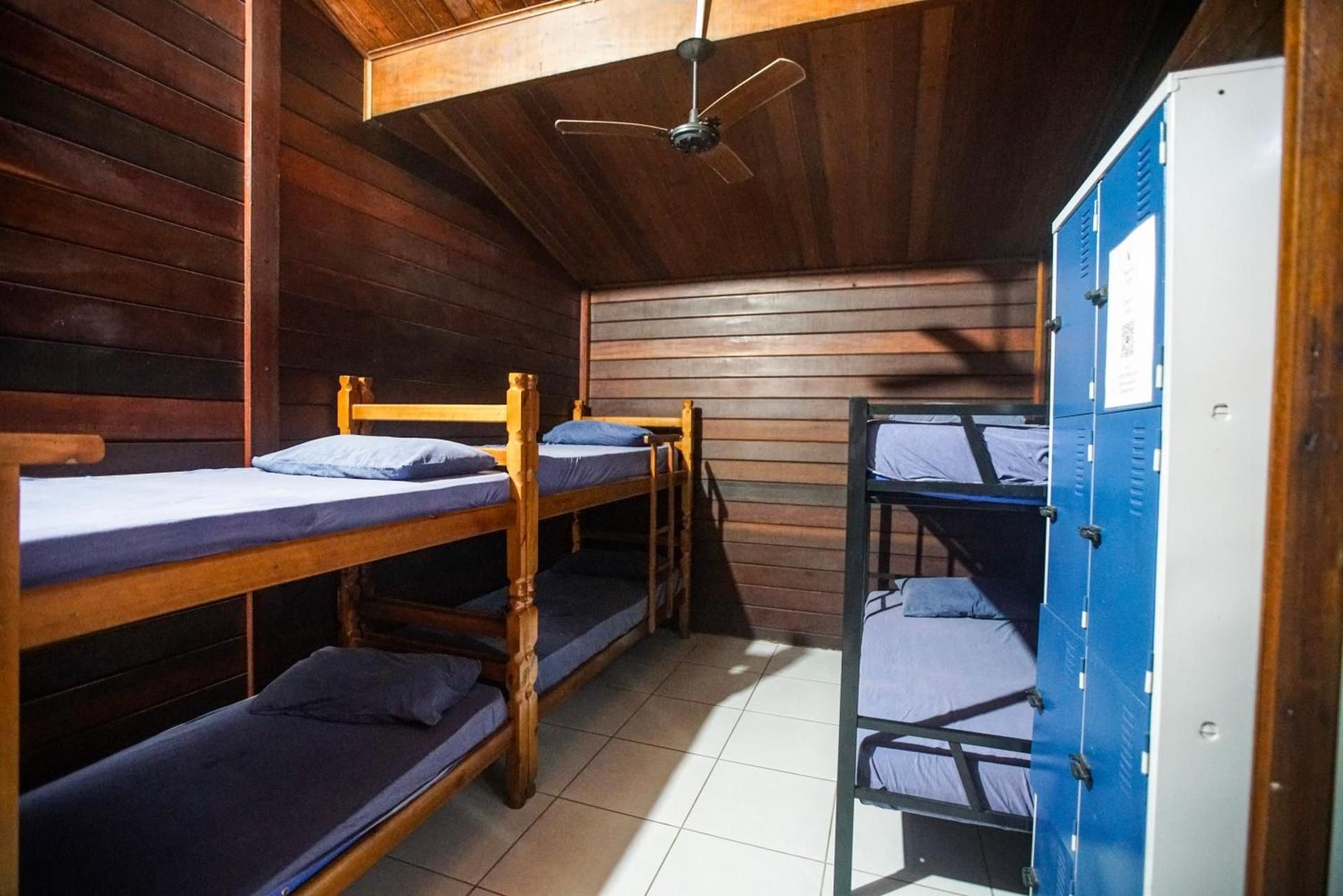 Bunk Bed in Mixed Dormitory Room
