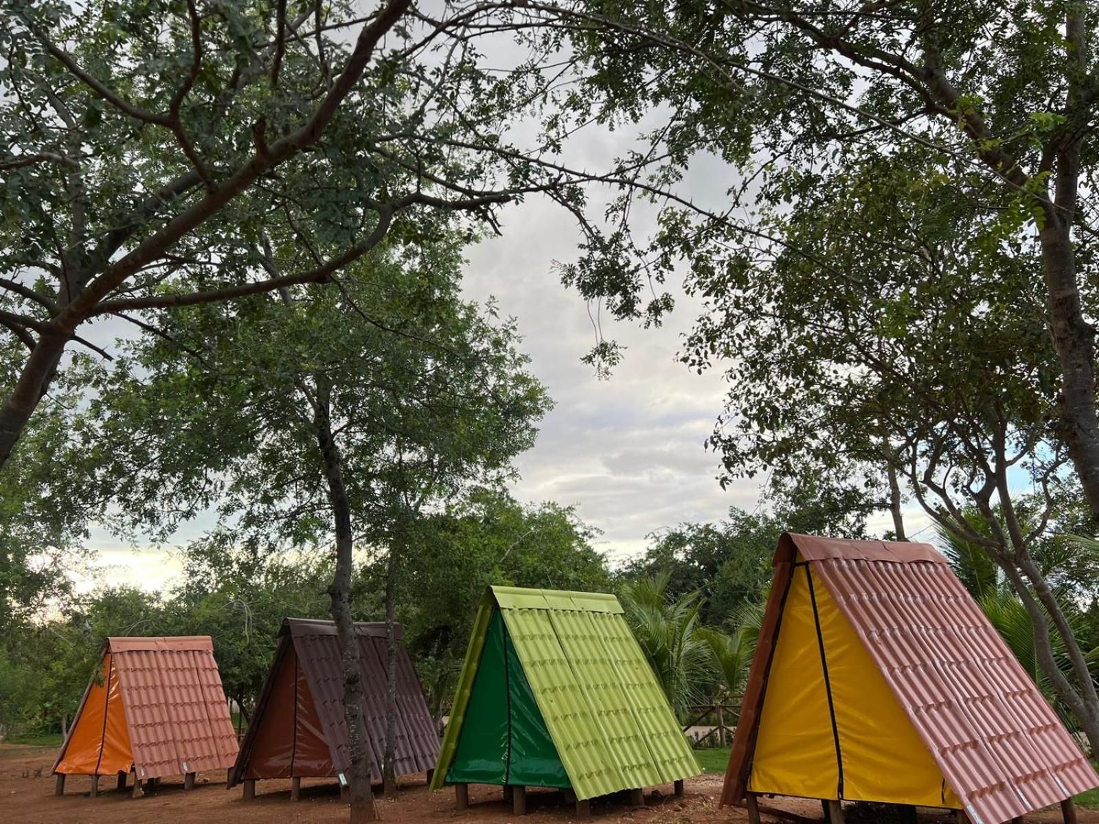 Tent