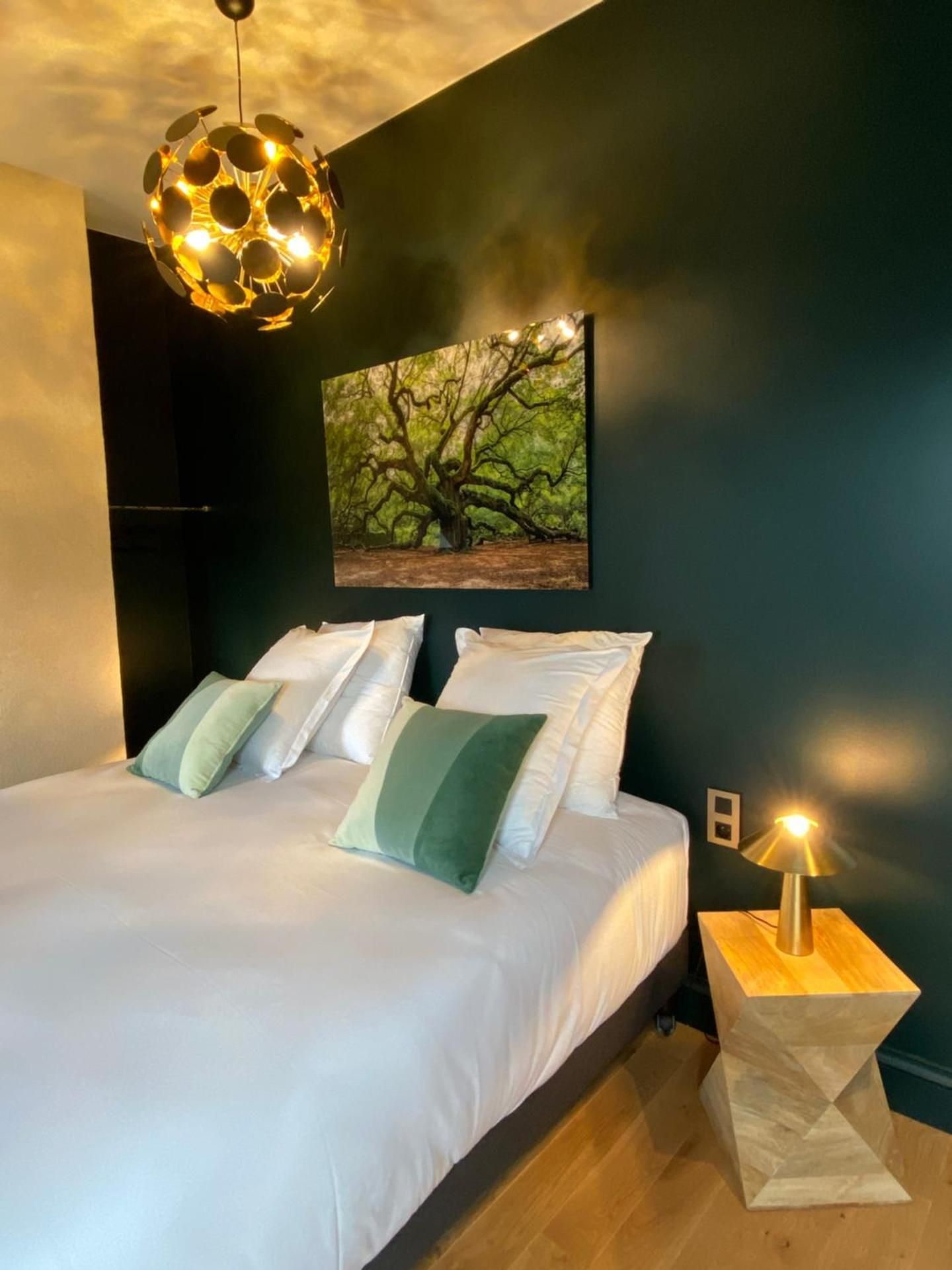 One-Bedroom Deluxe Apartment