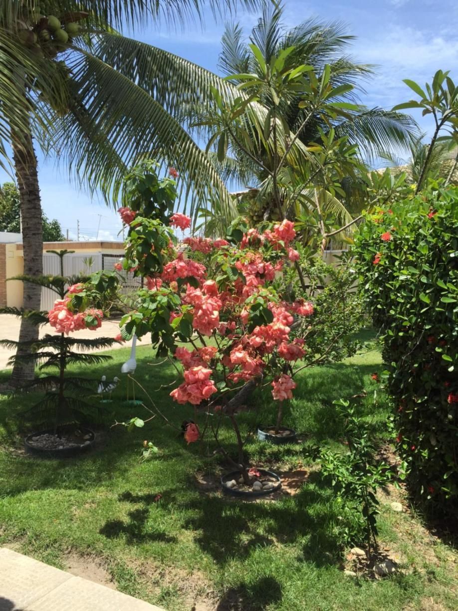 Pousada Villa Joia